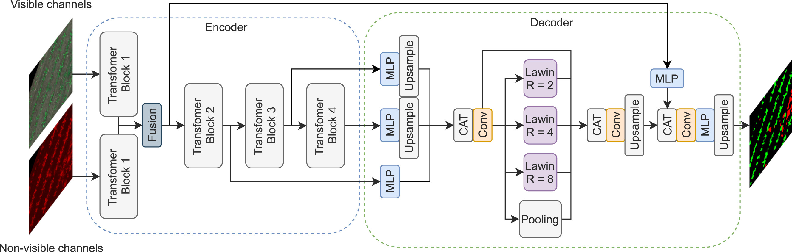 SplitLawin Image